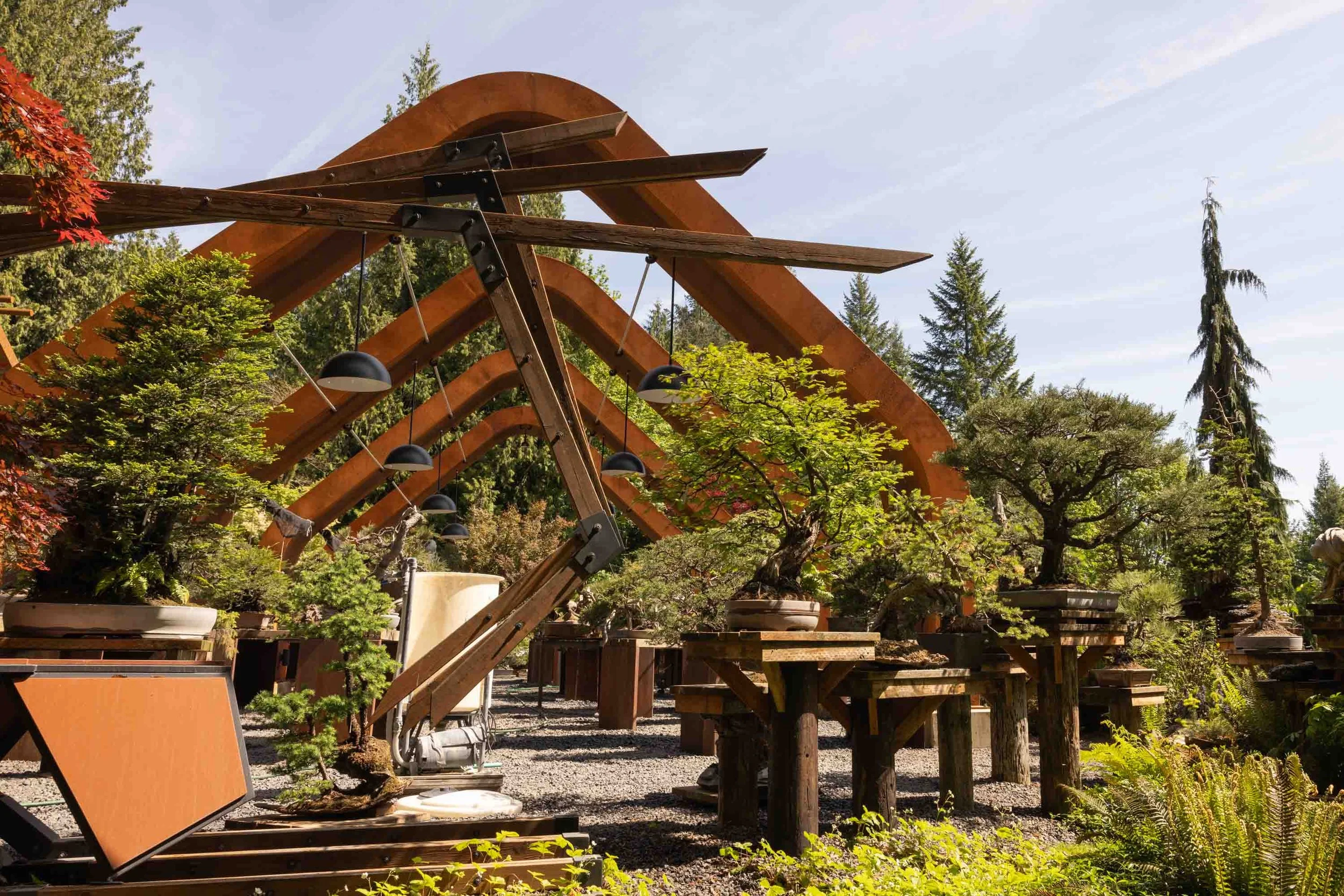 2025_Summer_Bonsai Mirai-26.JPG