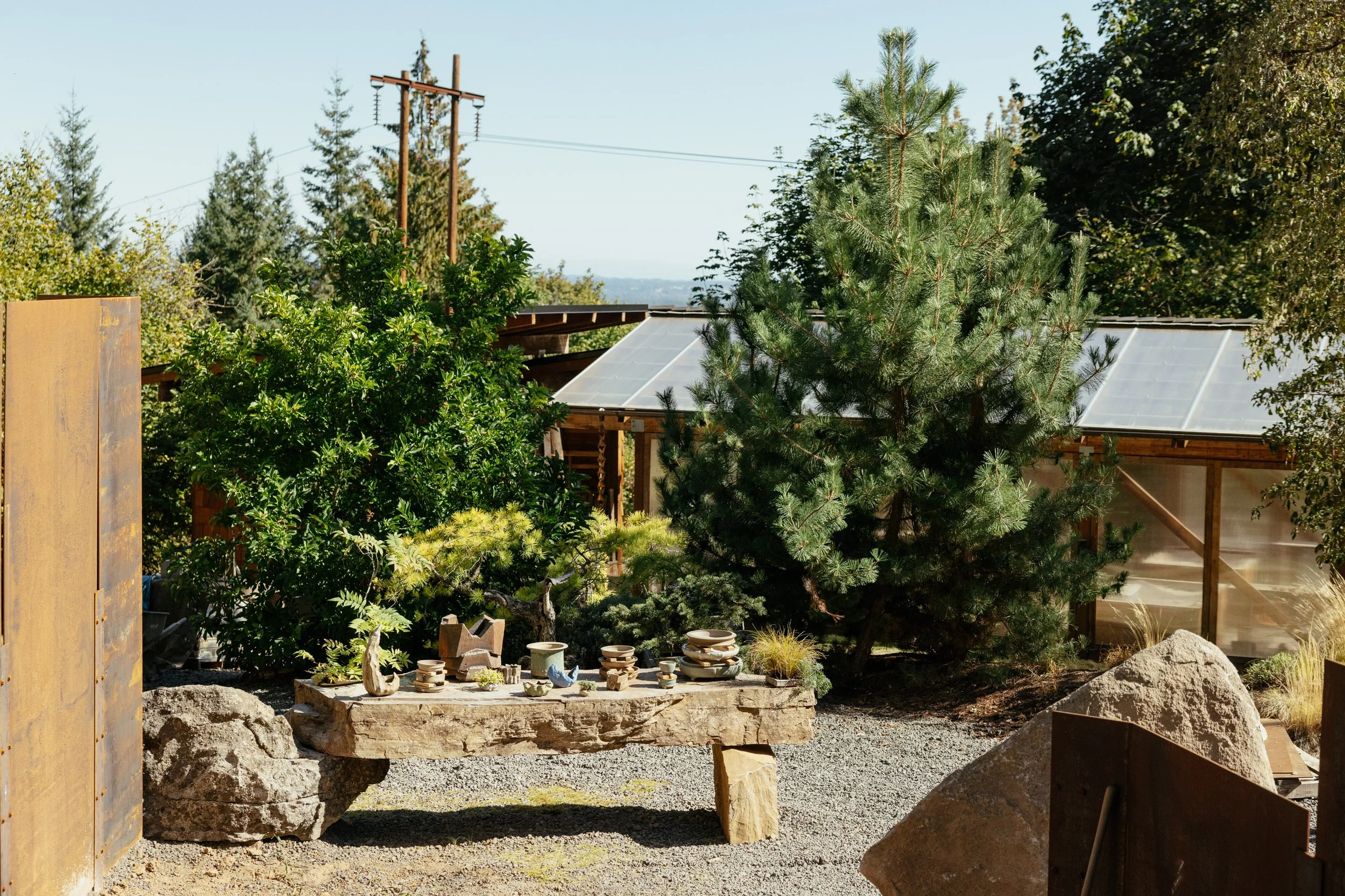 09.2025_Bonsai Mirai_Ceramics Sale-20.JPG