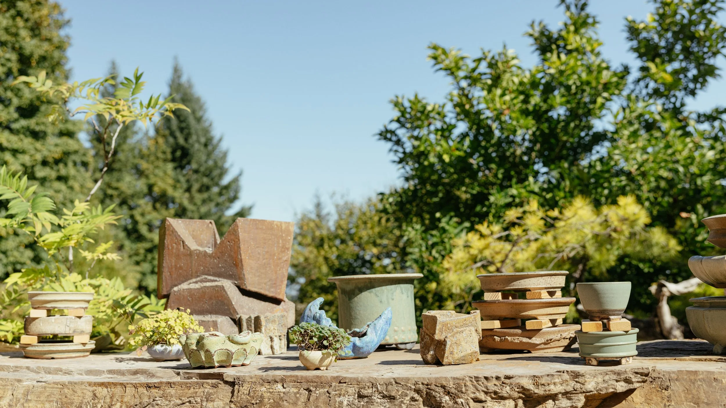 09.2025_Bonsai Mirai_Ceramics Sale-24.JPG