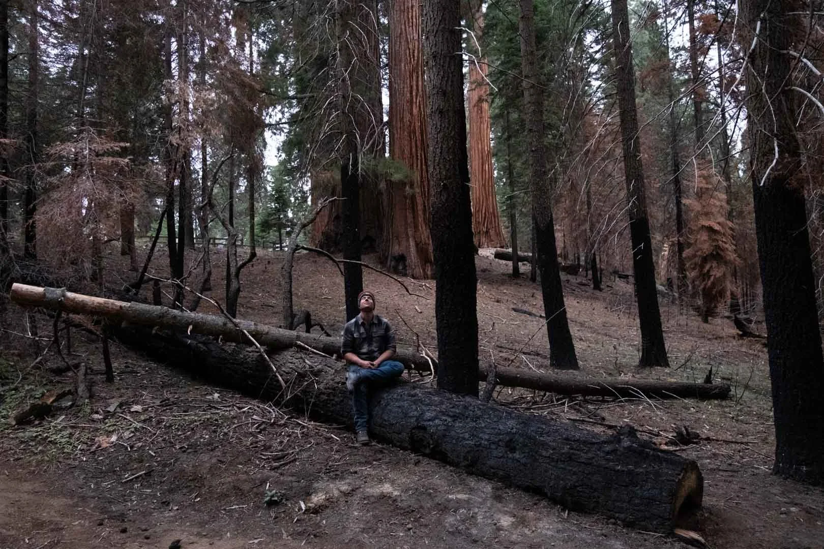 2022_Sequoia Stills-17.jpg