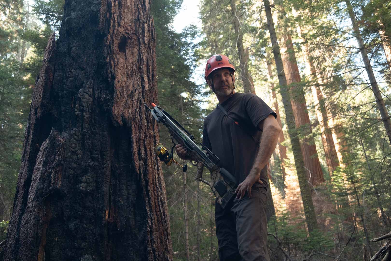 2022_Sequoia Stills-9.jpg