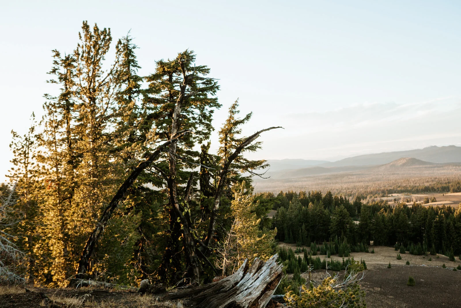 Crater Lake R Neil Photo-44.jpg