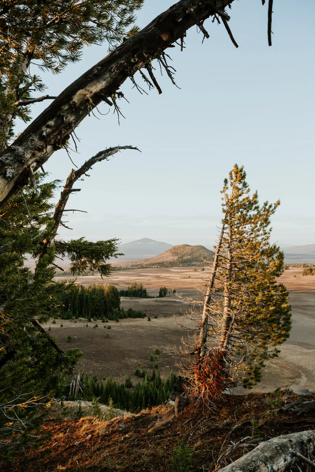 Crater Lake R Neil Photo-49.jpg