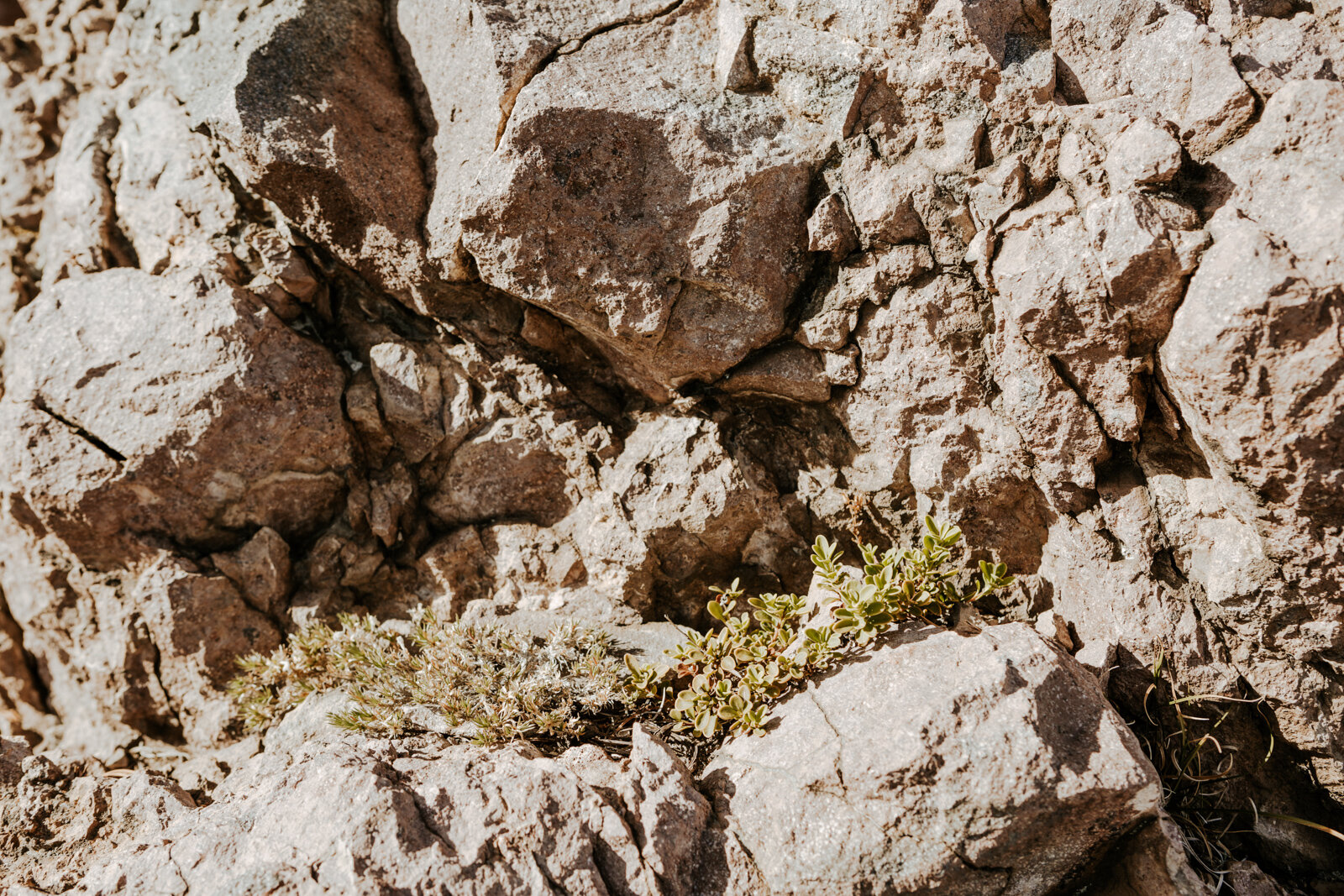 Crater Lake R Neil Photo-113.jpg