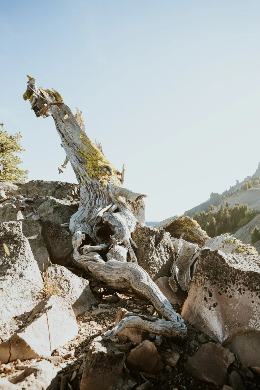 Crater Lake R Neil Photo-75.jpg