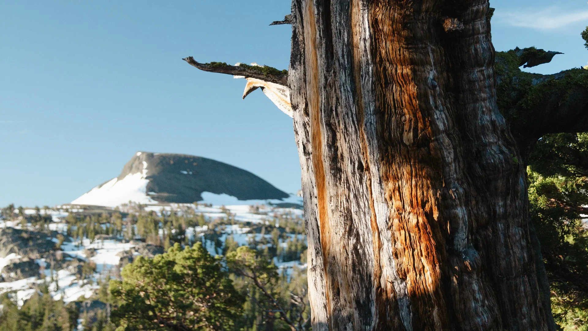 MIW Sierras Sample-5.jpg