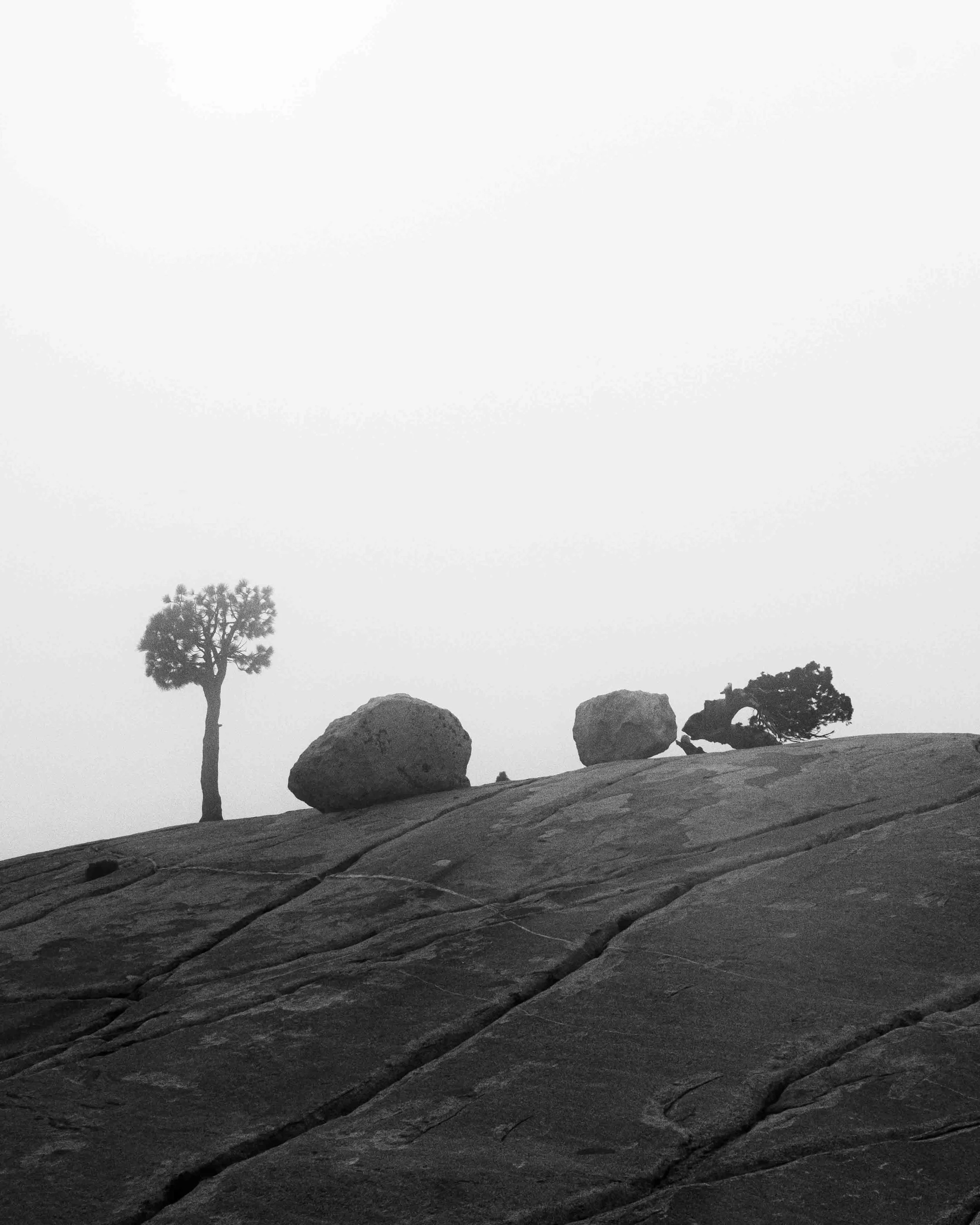 Mirai test yosemite-5.jpg