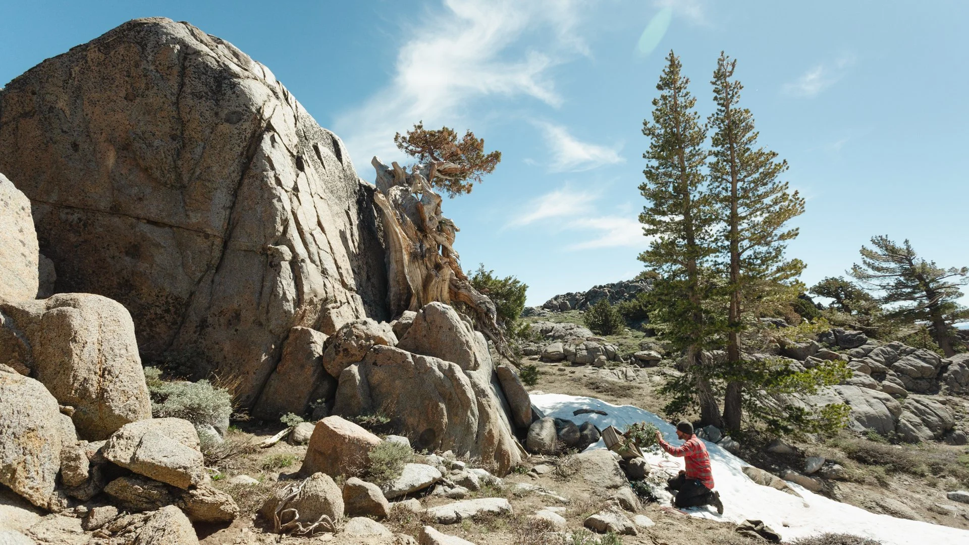 MIW Sierras Sample-9.jpg