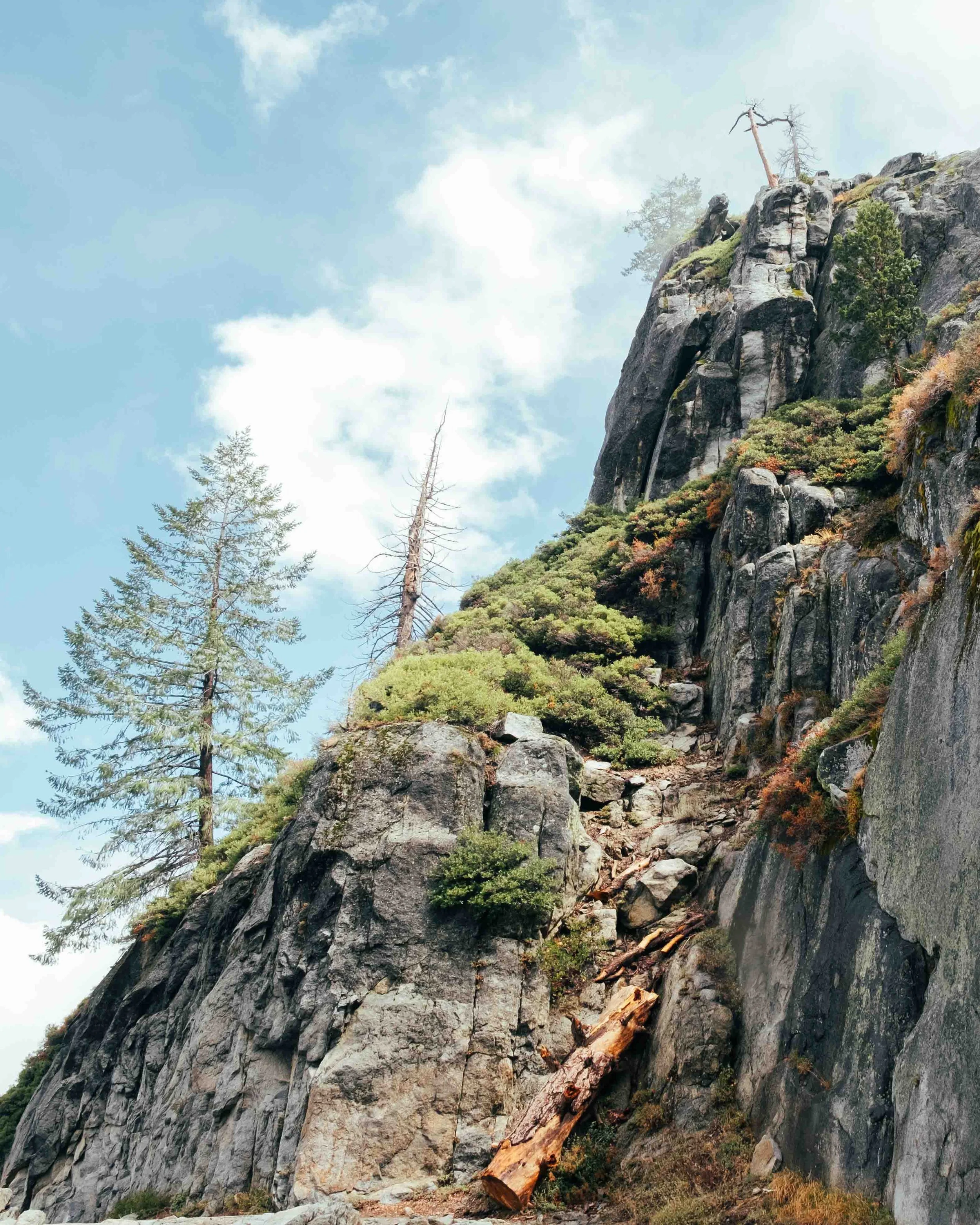 Mirai test yosemite-2.jpg