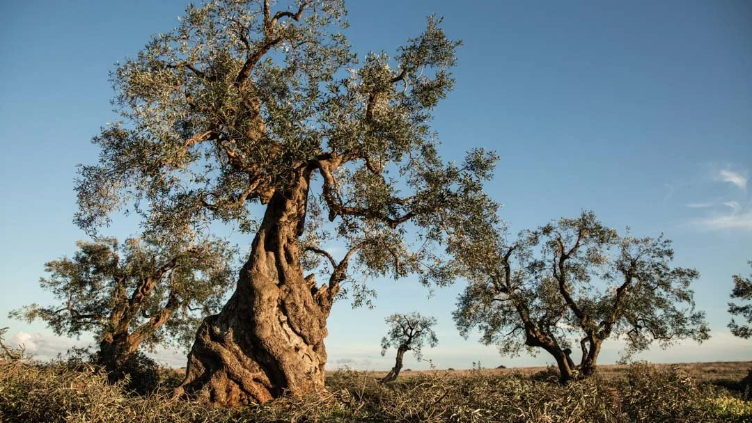 2023 MIW Sample Images-7.jpg