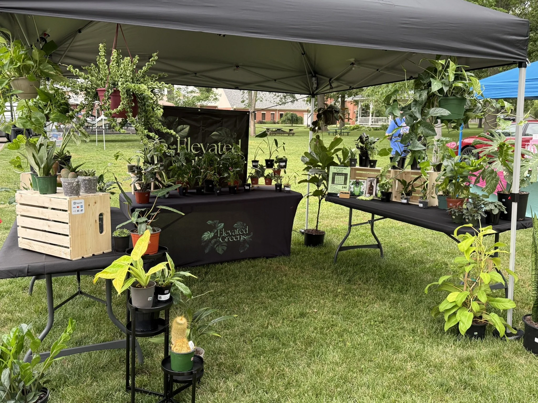 The Stockwell Plant Market was the first Vendor Market we had attended. We were personally invited to attend this Market. We will be at all future Stockwell Markets! 