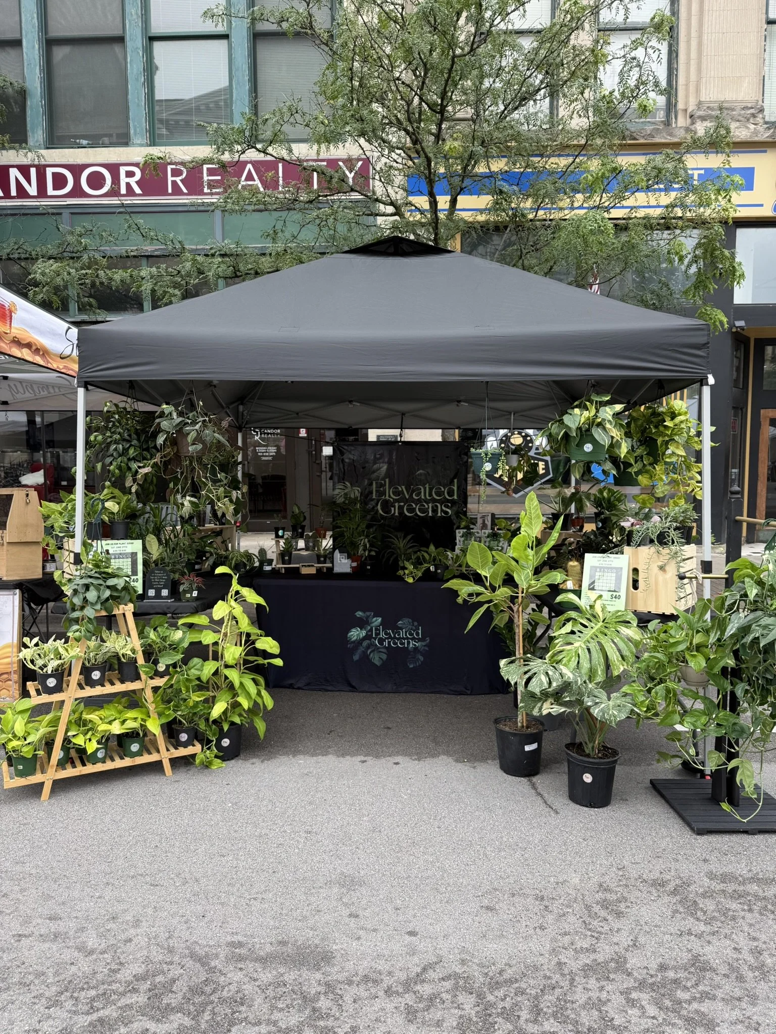 We attended Summer on the Square in Lafayette. This Market was an absolute blast and was extremely busy. I wish I would have gotten more pictures of the event, however we had customers before 8:00am and customers just kept coming. We loved seeing our