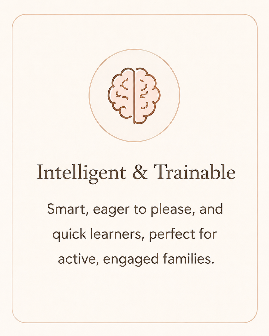 A digital graphic promoting intelligence and trainability, featuring a brain icon and the text 'Intelligent & Trainable' with a description about being smart and eager to learn, suitable for active families.