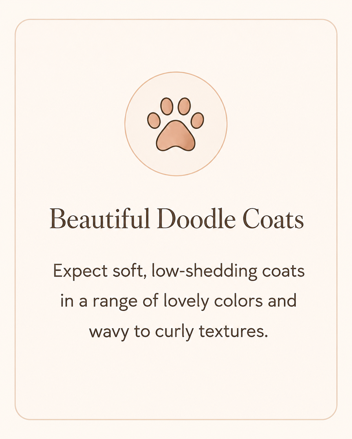 Product packaging for beautiful doodle coats, featuring a paw print icon and description about soft, low-shedding coats in various colors and textures.