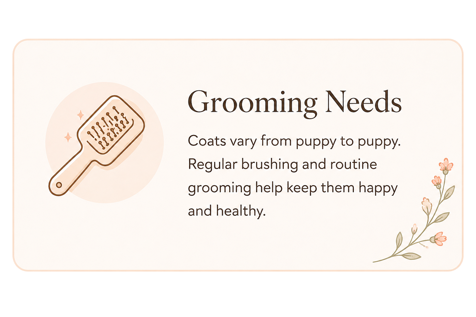 An informational graphic about grooming needs for puppies, featuring an illustration of a brush and decorative floral accents.