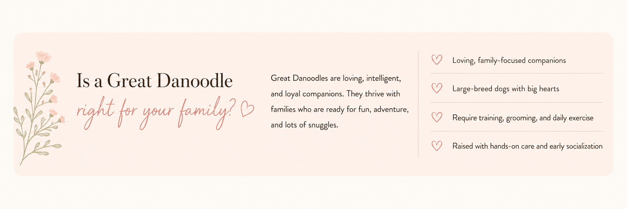 Graphic with text describing Great Danoodles as loving, intelligent, loyal family dogs, suitable for families who enjoy fun, adventure, and snuggling. Includes a list of qualities: family-focused, big-hearted, trainable, raised with care. Decorative floral design on the left.