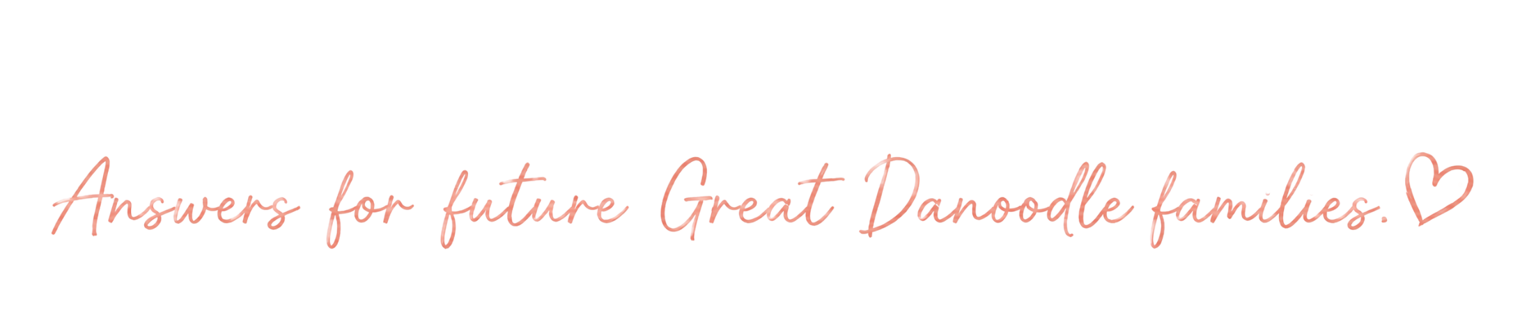 Text saying 'Answers for future Great Danoodle families' with a heart symbol, in pink cursive font over a black background.