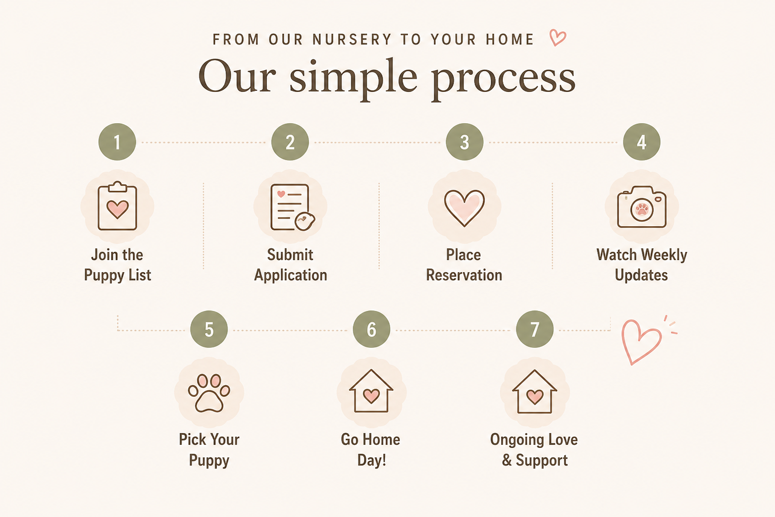 Infographic outlining a simple process for puppy adoption, including seven steps: join the puppy list, submit application, place reservation, watch weekly updates, pick your puppy, go home day, ongoing love and support.