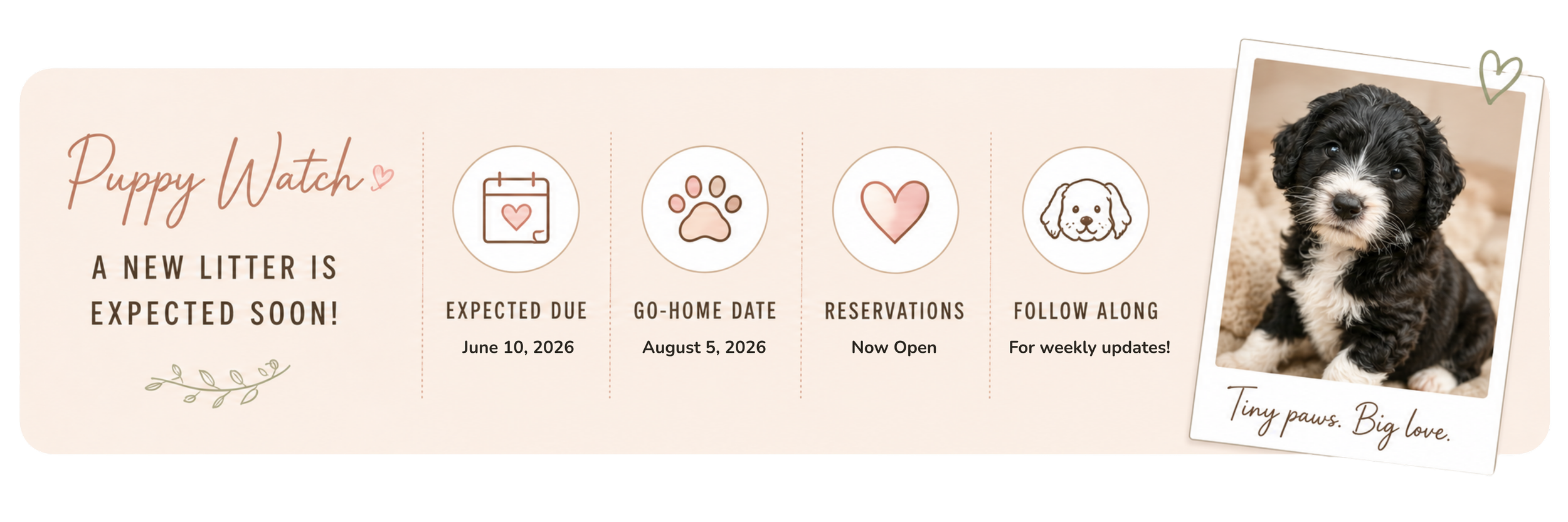 Announcement for Puppy Watch with icons and dates, including expected due date, go-home date, reservations, and updates; photo of a black and white puppy with curly fur and a note saying "Tiny paws. Big love."