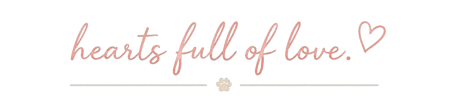 Text on black background reading 'hearts full of love.' in pink script font, with a small pink heart and a paw print.
