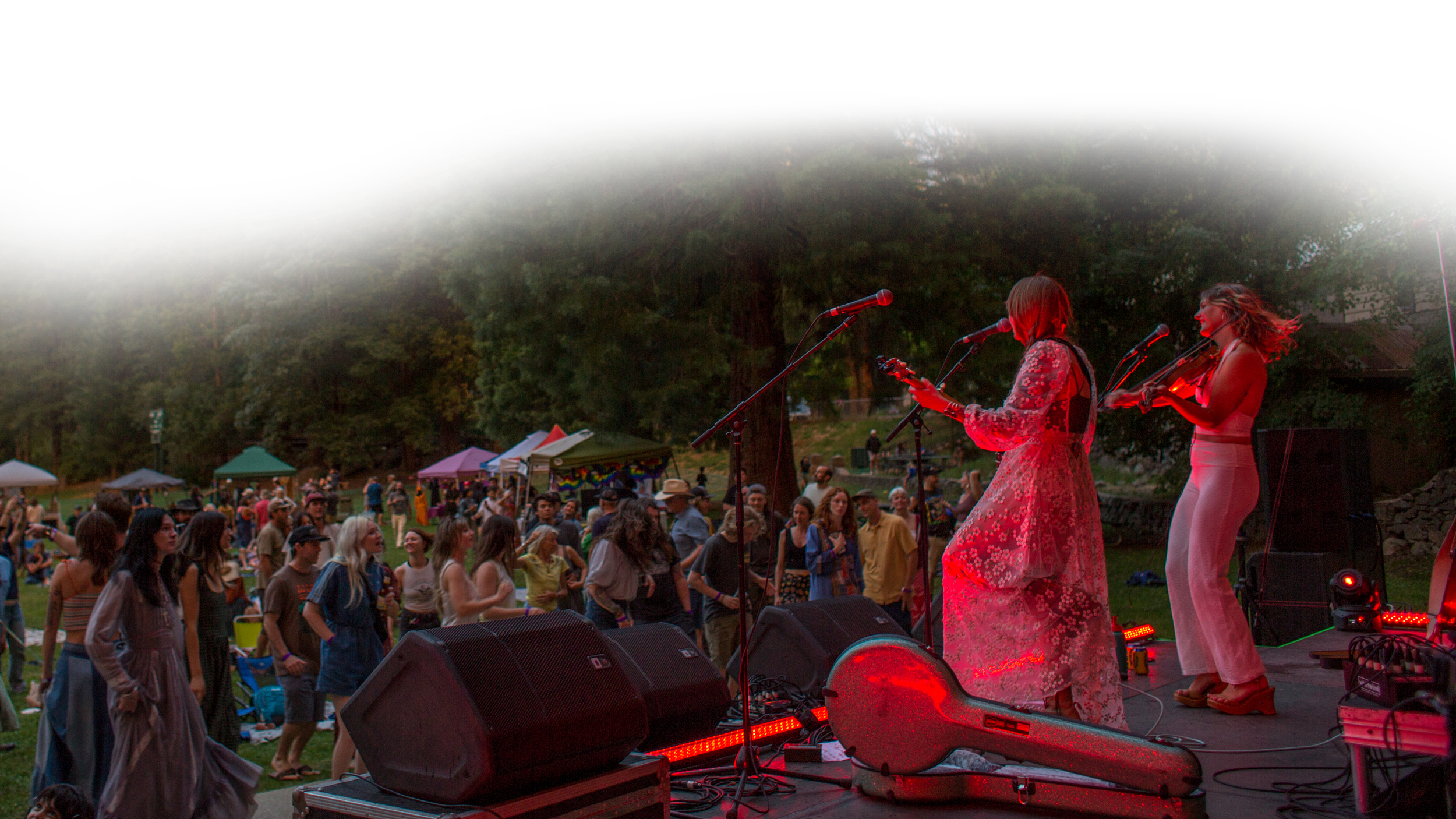 HoneyHillsFestDay-Eric-Gorman copy.png