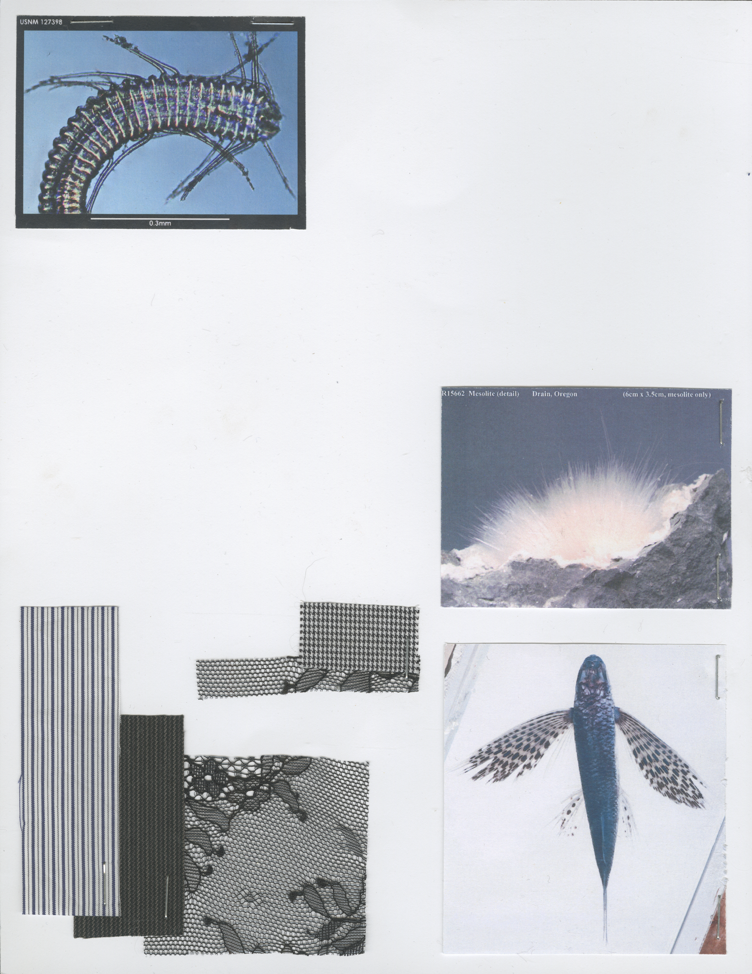 DESIGN PROCESS