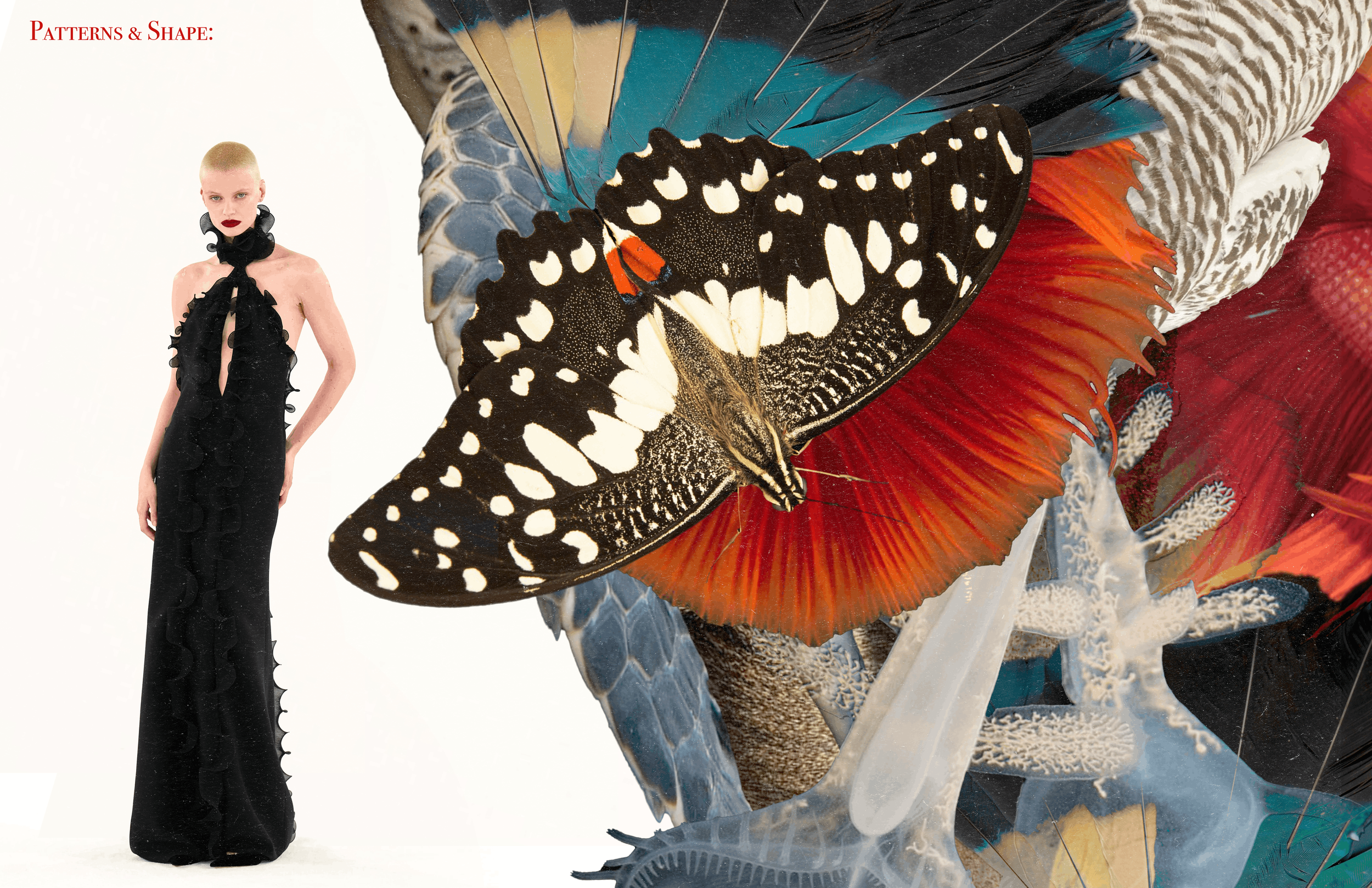 Pattern and Shape Inspiration.png