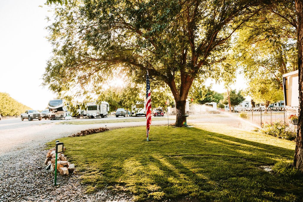 A grassy area with a large tree at sunset, an American flag on a pole, and RVs and cars parked in the background.