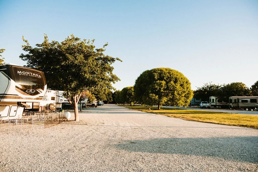 RV park with trees and parked RVs under a clear sky