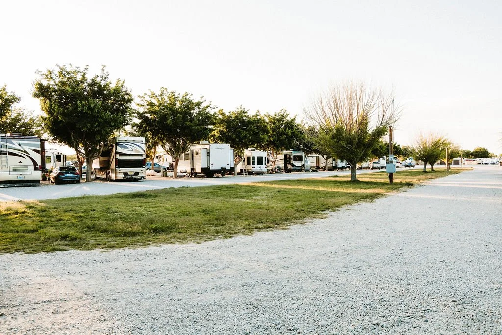 A parking lot with RVs, cars, and trees, with open space and a clear sky.