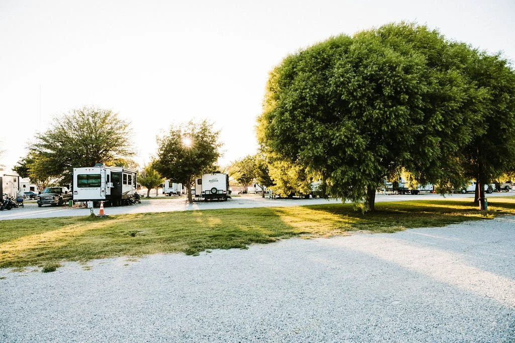 Sunset over a parking lot with several recreational vehicles and trees