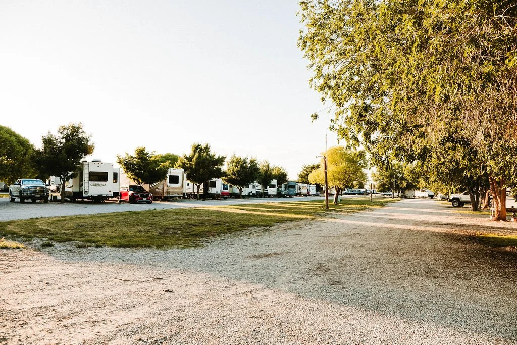 Camping area with RVs, cars, and trees during sunset.