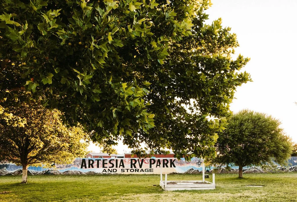 A large green tree with dense foliage in the foreground, another similar tree in the background, and a sign that reads 