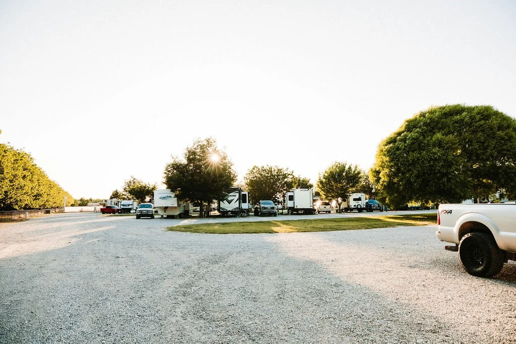 A parking lot with RVs and trucks parked under trees during sunset or sunrise.