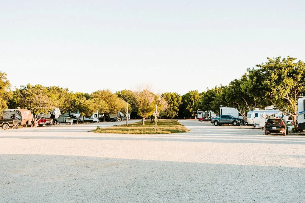 A parking lot with trees, parked RVs, and cars, and a clear sky.