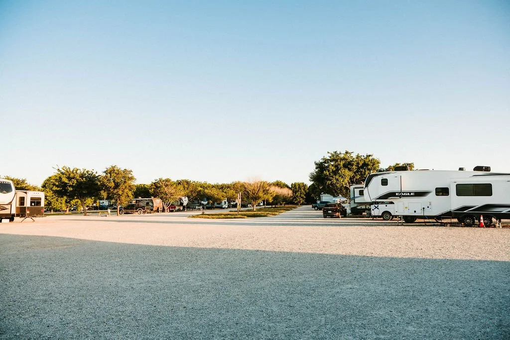 RV park with multiple recreational vehicles and trees on a sunny day.