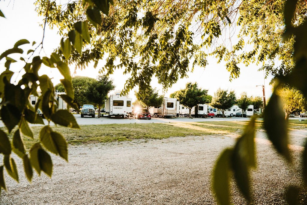 A parking lot with several RVs and cars, trees in the background, and leaves framing the scene with sunlight shining through.