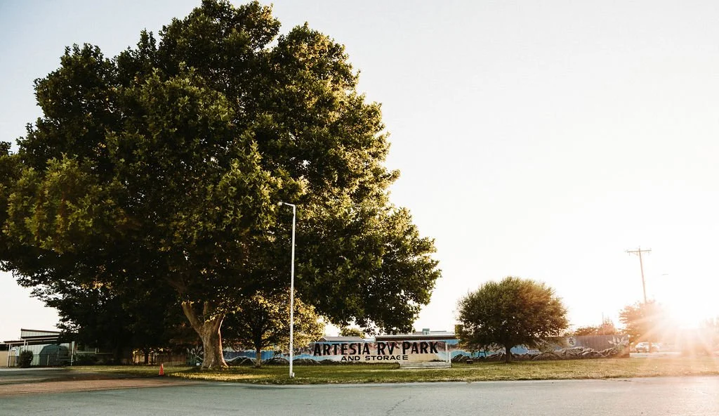 A large tree and smaller trees next to a street, with an Artesia RV Park sign in the background, and the sun setting on the right.