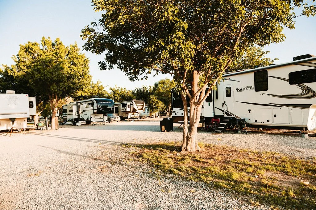 Several recreational vehicles parked in a campground with trees and gravel ground, under a clear sky.