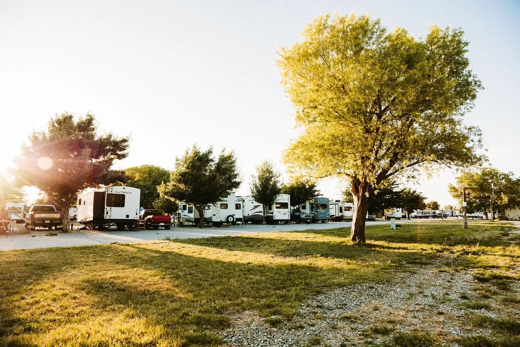 An outdoor RV park with multiple camper trailers, vehicles, and a large green tree in the foreground, under a clear sky with sunlight.