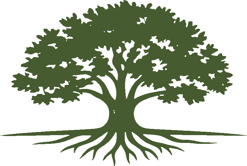 A stylized illustration of a large green tree with a thick trunk and sprawling roots.
