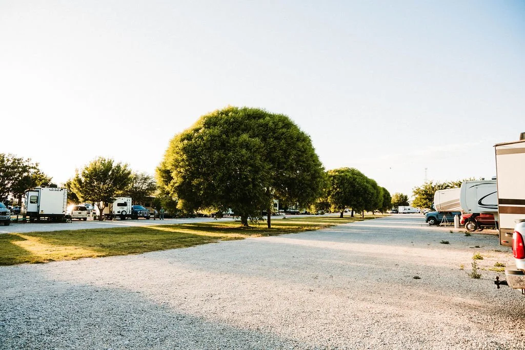 A parking lot with several parked trailers and trucks, a row of small, green, rounded trees, and a clear, sunny sky.