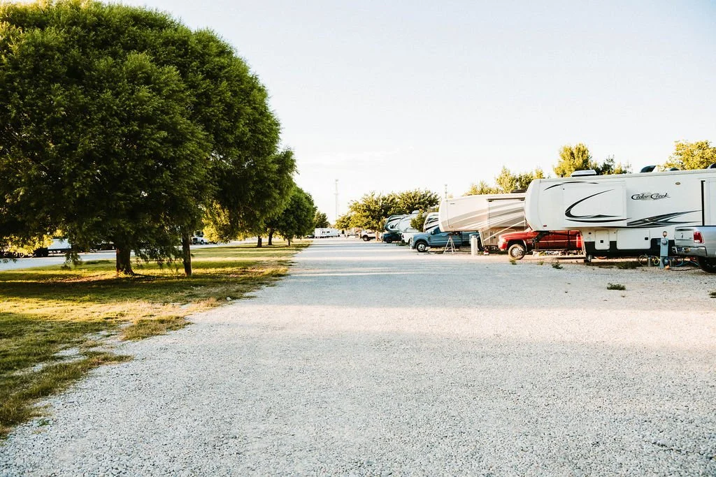 A parking lot with several trucks and RVs, partly shaded by trees, on a bright day.