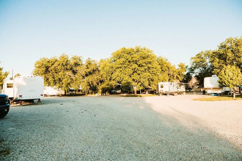 RV park with several RV trailers parked under large trees and a gravel lot.
