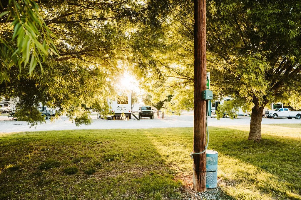 A grassy area with trees, a wooden utility pole with a connector box, and parked trucks and cars in the background during sunset.