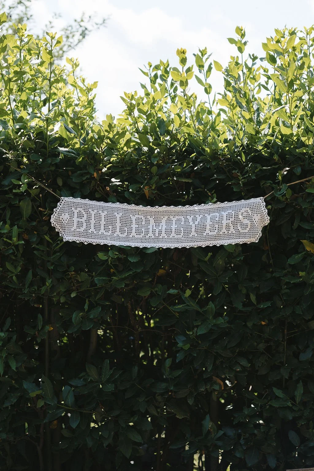 TALIAANDBRETT-9354.jpg