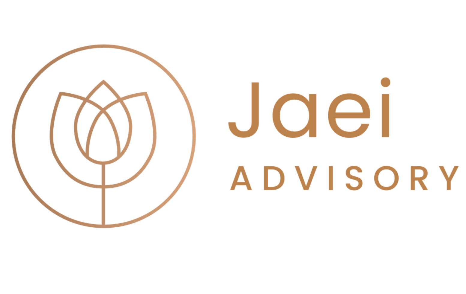 What WHS officer due diligence really asks of boards — Jaei Advisory