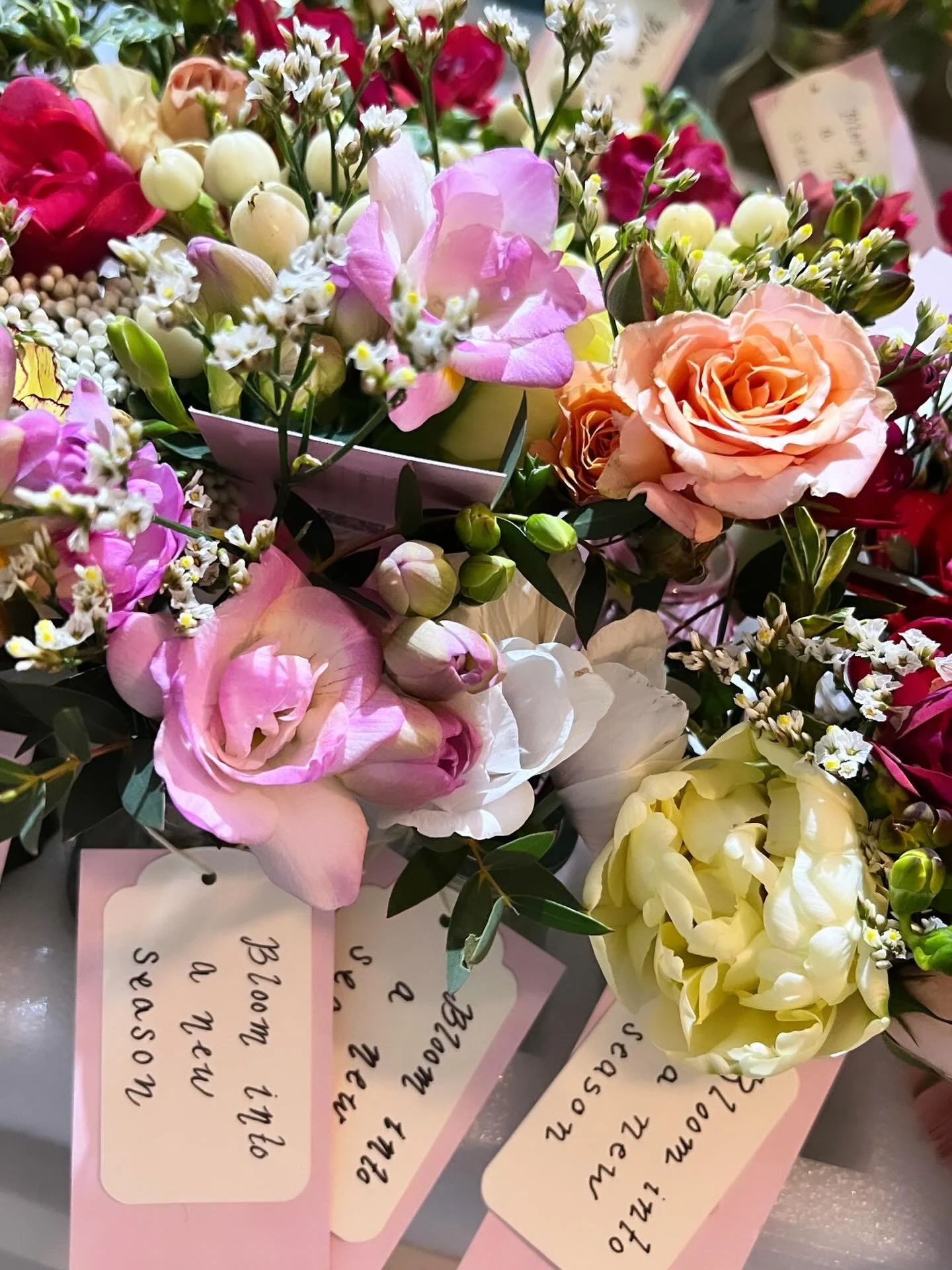 Bloom into a new season🌷
Welcome Spring!🚰🌱🪴