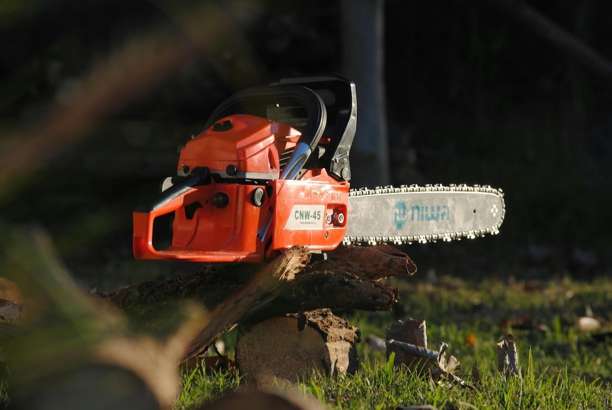 How Much Does Tree Removal Cost in Gresham, OR?