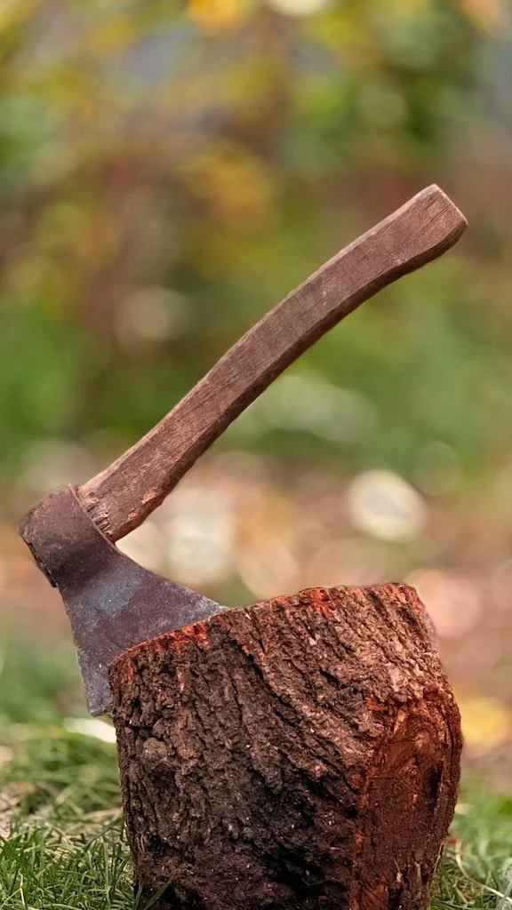 Ax on a stump in Gresham, OR